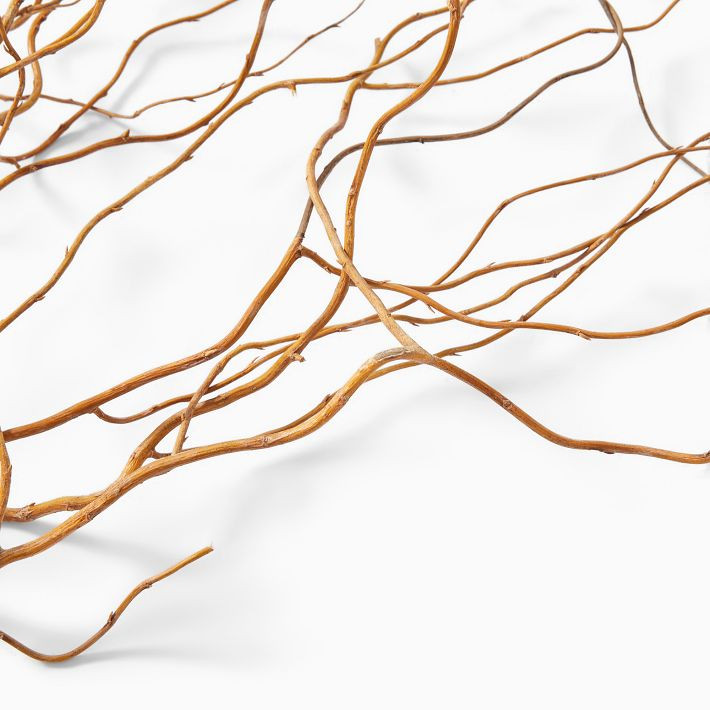 Dried Curly Willow Branches (Set of 12) | West Elm (US)