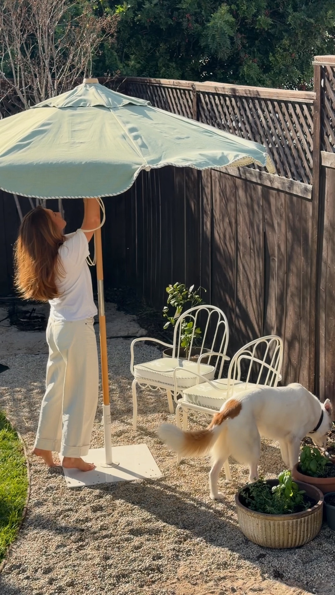 Chairs and umbrellas are from Business and Pleasure! 