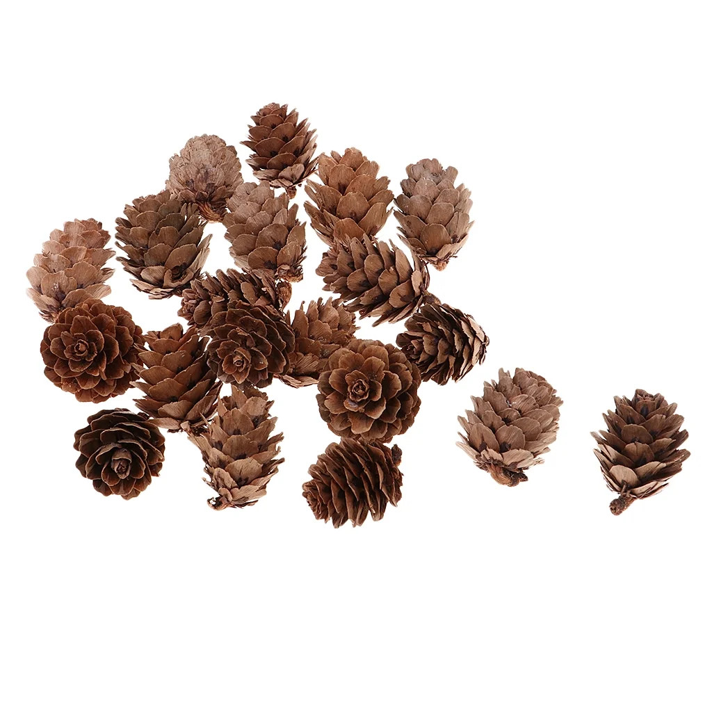 20PCS Natural Real Pine Cones Ornament Christmas Party Decoration Holiday | Walmart (US)
