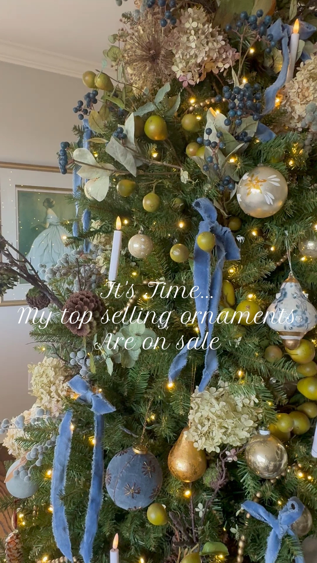 These are my top-selling Christmas ornaments from my blue French nature-inspired tree, all from Brooke & Lou — and they’re on sale 🤍✨
Soft blues, antique golds, and delicate botanical details give this tree that timeless French country Christmas feel I love so much — elegant, collected, and inspired by nature.

If you’re dreaming of a blue and white Christmas tree, European-style holiday décor, or a French cottage Christmas, I’ve linked every ornament here so you can recreate the look while they’re marked down.

A perfect time to add a few heirloom-style pieces to your holiday collection 

#LTKHoliday