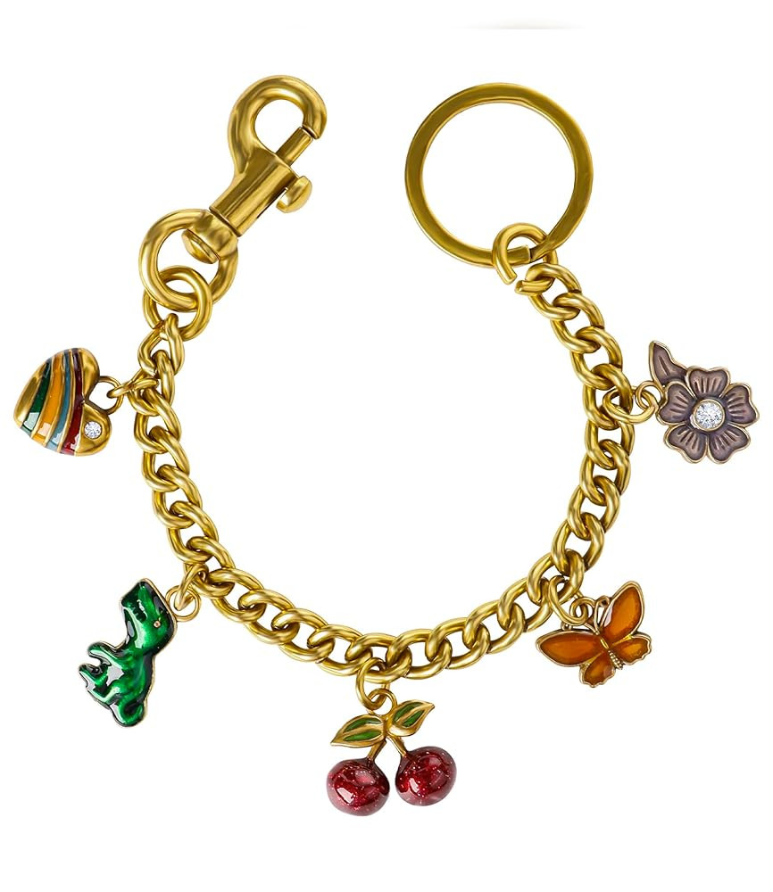 Bag Charms Purse Extender Chain: Cute Lobster Clasp Keychain - For Leather Shoulder Handbags Acce... | Amazon (US)