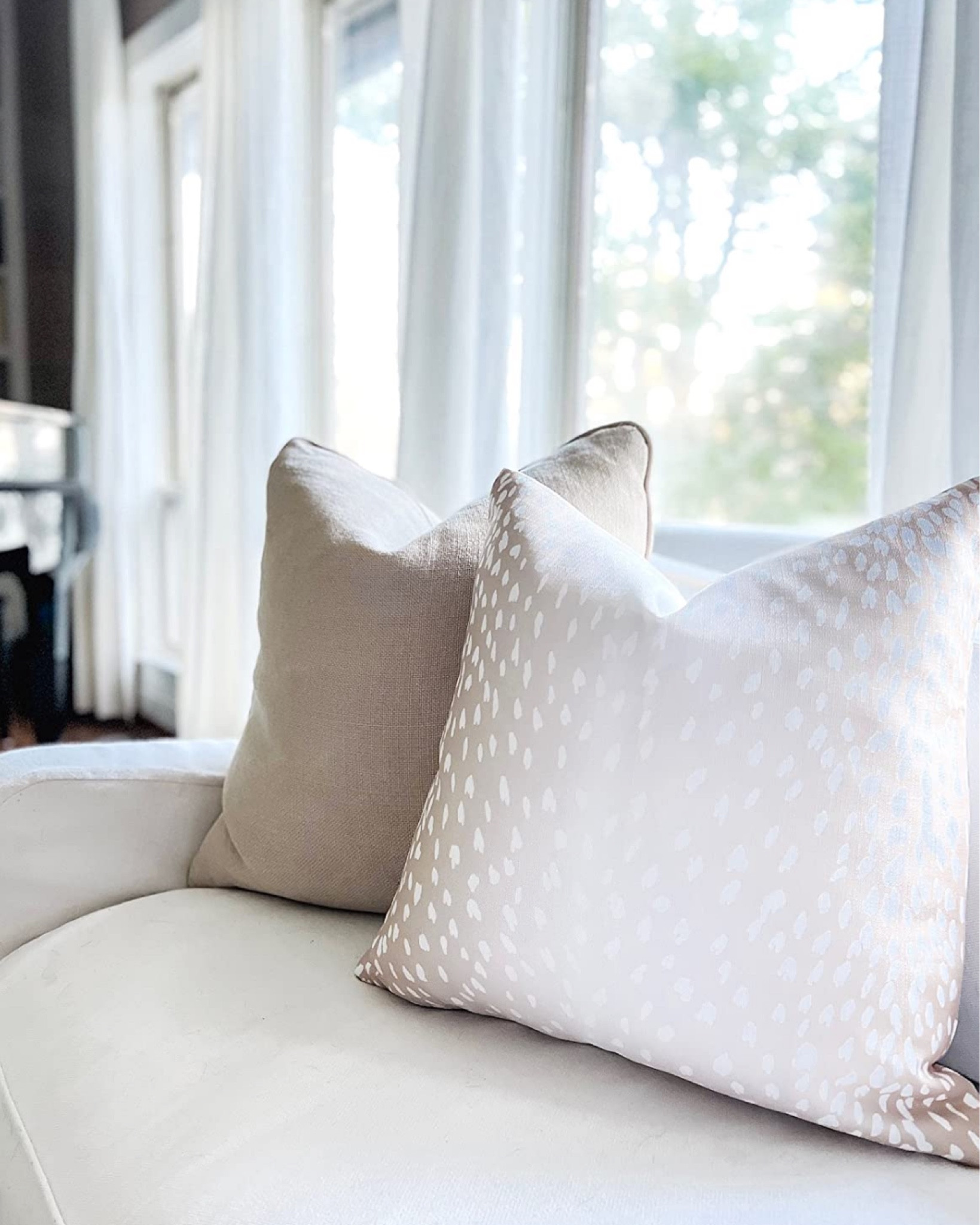 My favorite pillow covers are back in stock! This antelope pattern is so pretty 🤍

Amazon home decor, Amazon, bedroom furniture, accessories , coffee table decor, shelf decor, budget friendly decor, entryway, living room, bathroom, bedroom, dining room, neutral decor, traditional home, modern home finds, pillow covers, pillow, neutral pillow, pillow insert , antelope pillow covers, silk pillow covers, animal print pillows, color block pillow, euro pillow, living room Inspo, back in stock #amazon #amazonhome



#LTKhome #LTKstyletip #LTKunder50