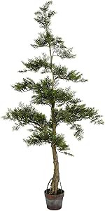 Vickerman Potted Cedar Artificial-Trees, 5', Green | Amazon (US)