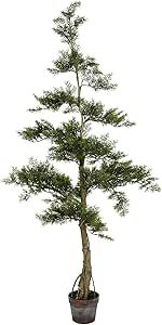 Vickerman Potted Cedar Artificial-Trees, 5', Green | Amazon (US)