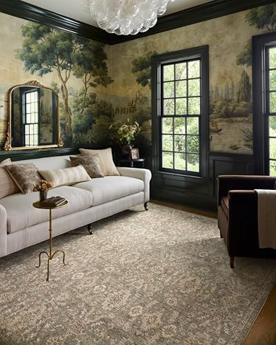 Loloi Chris Loves Julia Palma Collection PLM-03 Lagoon/Natural 7'-10" x 10' Area Rug Vintage Styl... | Amazon (US)