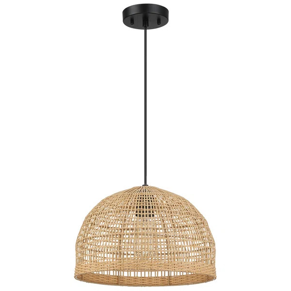 Neill 1 - Light Pendant | Wayfair North America