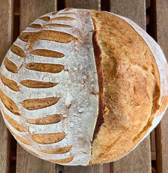 140yr Old San Francisco Sourdough Starter | Etsy (US)