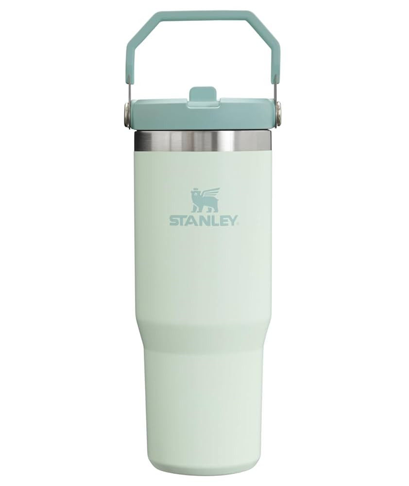 Stanley IceFlow Flip Straw Tumbler with Handle 30 oz | Twist On Lid and Flip Up Straw | Leak Resi... | Amazon (US)