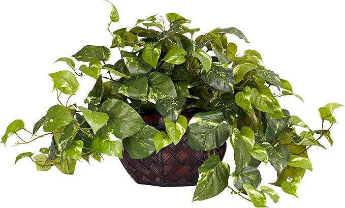 Nearly Natural 6681 15in. Pothos with Decorative Vase Silk Plant,Green,17.5" x 10.125" x 10.125" | Amazon (US)