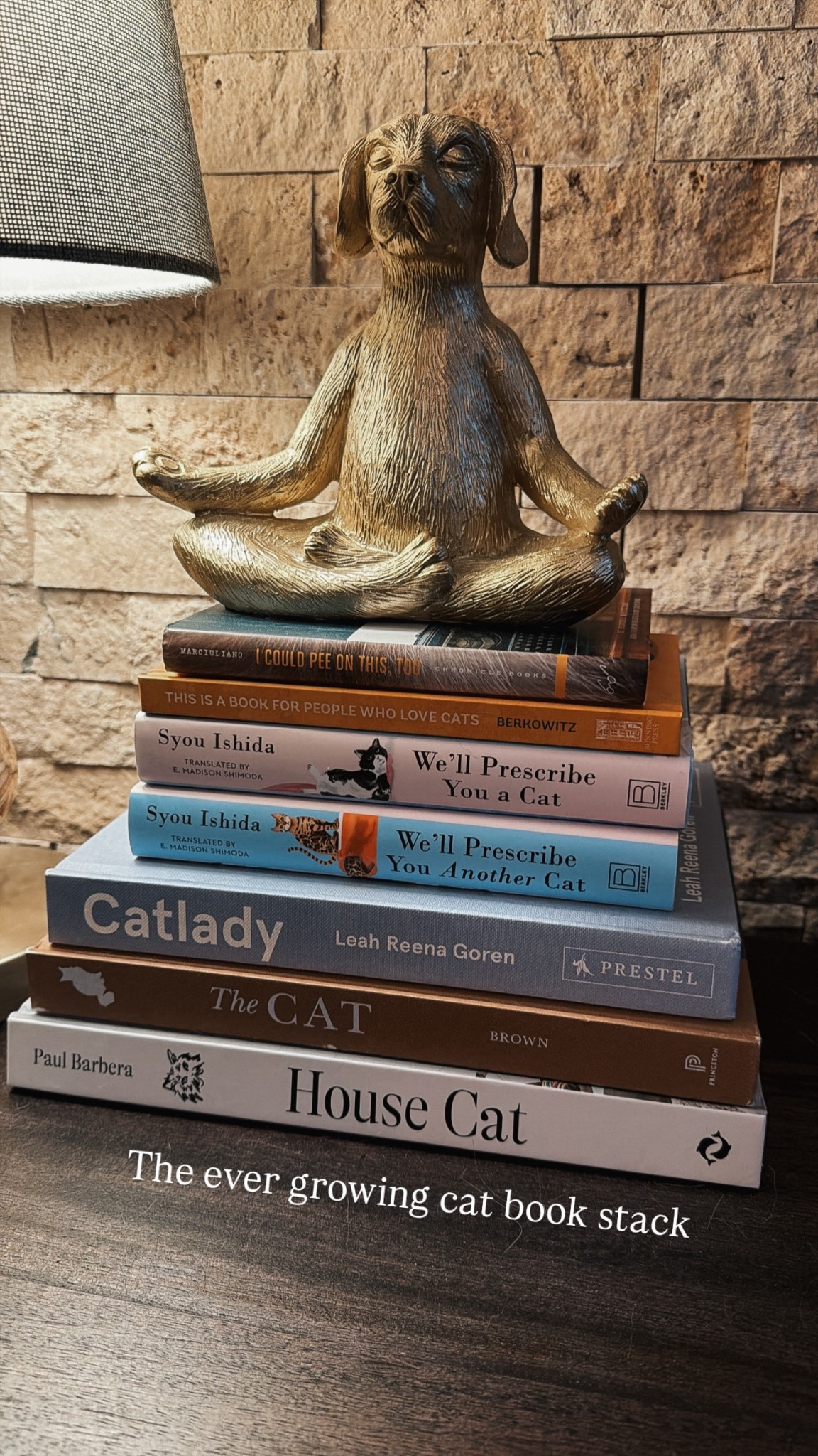 My cat coffee table book stack 📚🐾😻

#LTKselfcare #LTKHome #LTKstorytime