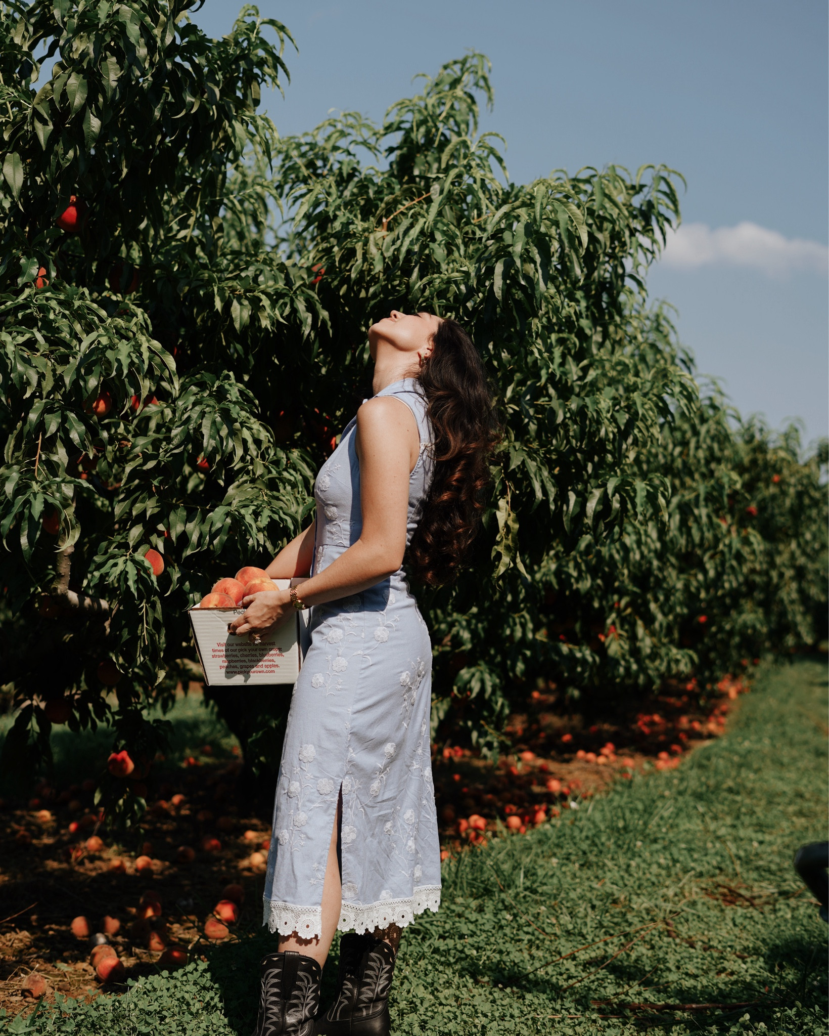 Fav fruit picking summer / fall outfit!! Loved being out in this gorgeous peach farm with a sleeveless dress and black boots  

#LTKActive #LTKParties #LTKTravel