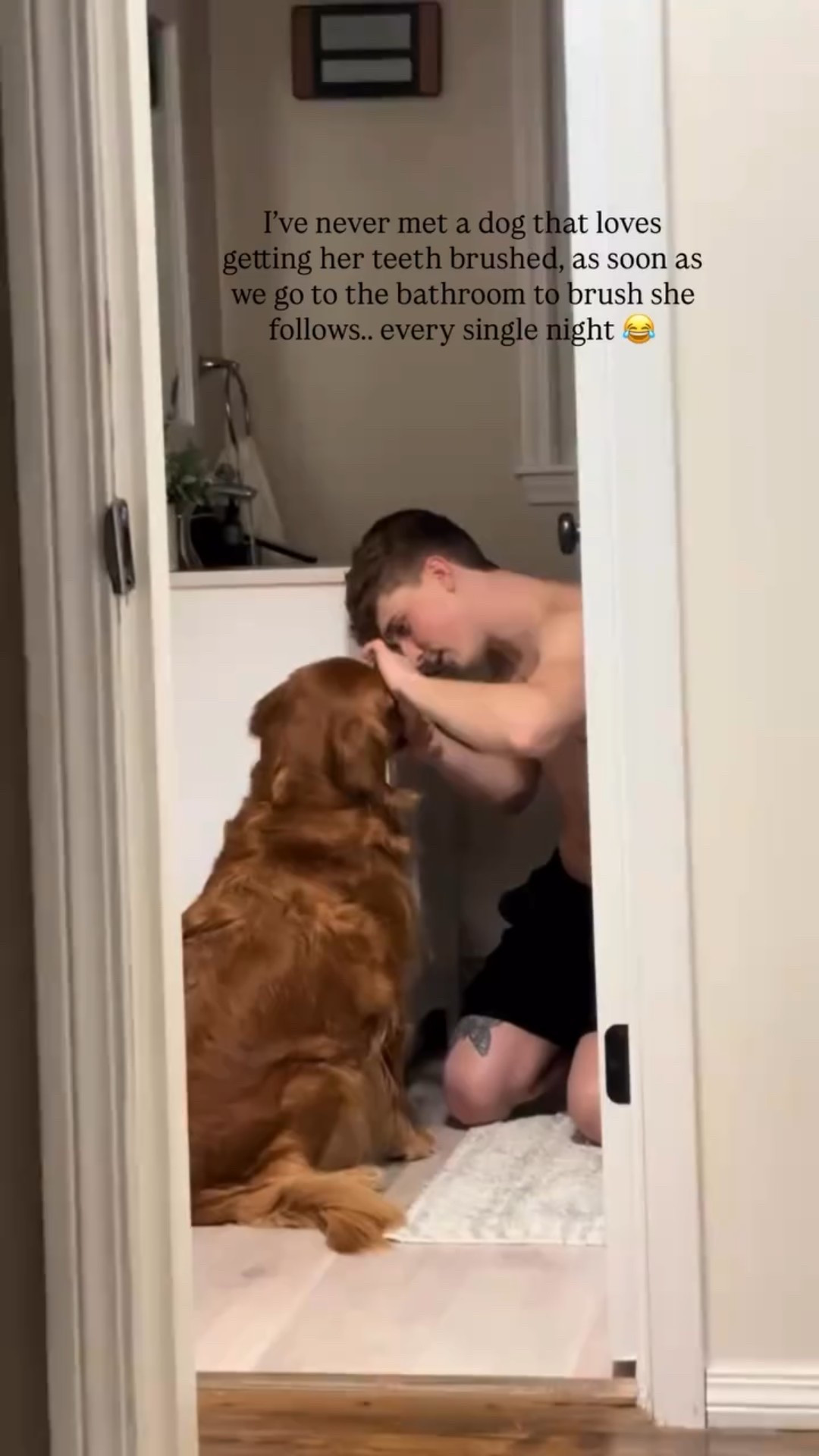 I’ve never met a dog that loves getting her teeth brushed, as soon as we go to the bathroom to brush she follows.. every single night 😂