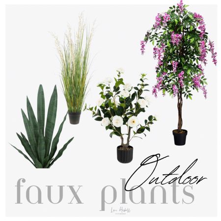 Outdoor 
Porch 
Faux plants 
Fiscus 
Grass
Snake 
Flower 

#LTKSeasonal #LTKhome #LTKstyletip