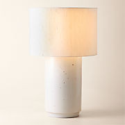 Rosalind Large Green Ceramic Reactive Glaze Table Lamp with Silk Shade + Reviews | CB2 | CB2
