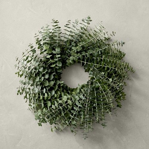 Baby Eucalyptus Wreath, 16 | Williams-Sonoma