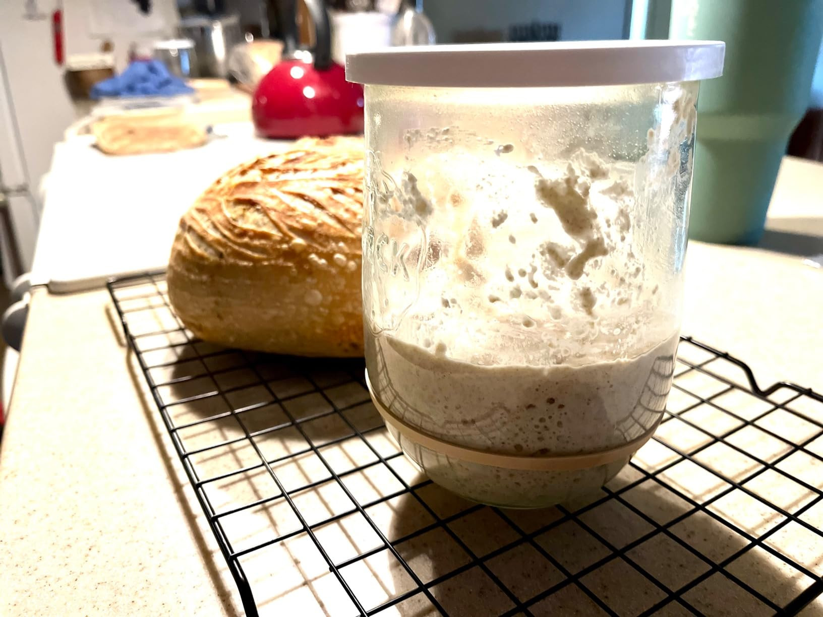 1 Liter - Large Sour Dough Starter Jars - Tulip Jar with Wide Mouth - Suitable for Canning and St... | Amazon (US)