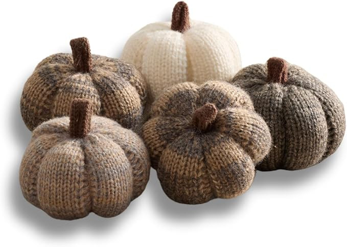 Your Heart's Content Set of 5 Cozy Mini Knit Pumpkins Neutral Cobblestone, Fall Home décor, Shel... | Amazon (US)