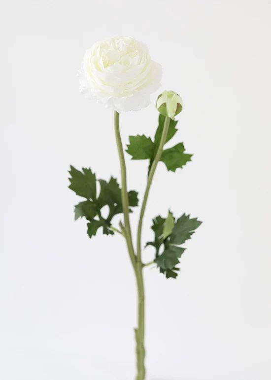 Cream White Ranunculus Silk Flower - 18.75 | Afloral (US)