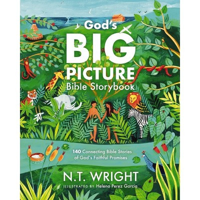 God's Big Picture Bible Storybook - (God's Big Picture Bible Stories) by  N T Wright (Hardcover) | Target