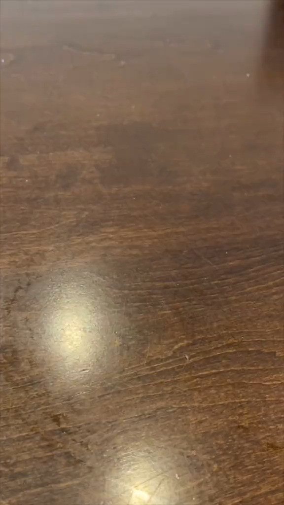 “This is my employee of the year!” 

 #LTKGiftGuide #LTKHome #LTKFindsUnder50