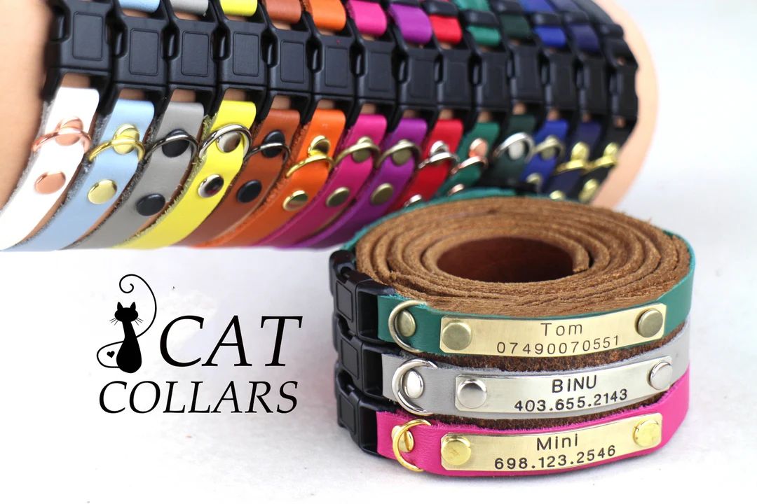 Breakaway cat collar - Cat collar - Custom cat personalized collar - Kitten collar - Cat collar b... | Etsy (US)
