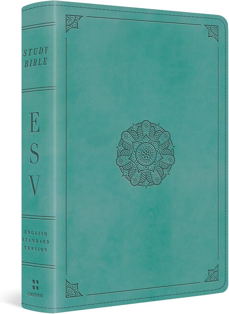 ESV Study Bible, Personal Size (TruTone, Turquoise, Emblem Design) | Amazon (US)