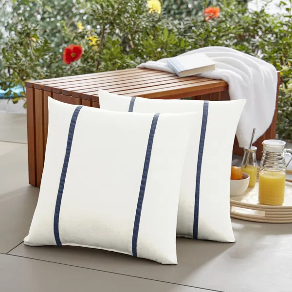 Holle Indoor/Outdoor Square Pillow Cover & Insert (Set of 2) | Wayfair Professional