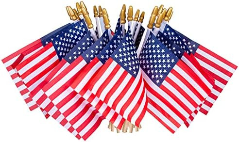 HOOSUN 12 Pcs Small American Flags On Stick,Patriotic Decorations Small USA Flags On Stick,Mini A... | Amazon (US)