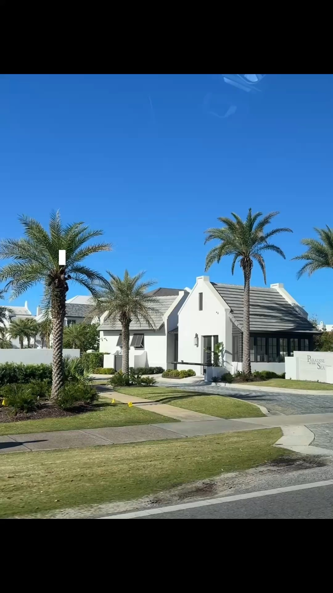 sunbum now available at walmart! we love every single thing they sell 💛