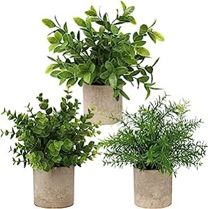 Briful Artificial Potted Plants Set of 3 Small Faux Plant Eucalyptus Mini Fake Plant Decor for Ho... | Amazon (US)