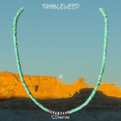 Native American Turquoise & Navajo Pearl Necklace | eBay US