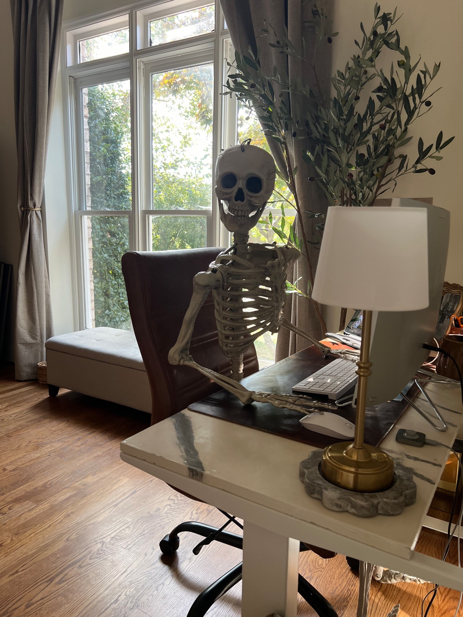 Spooky Seasonn

#LTKSeasonal #LTKHalloween #LTKFallSale