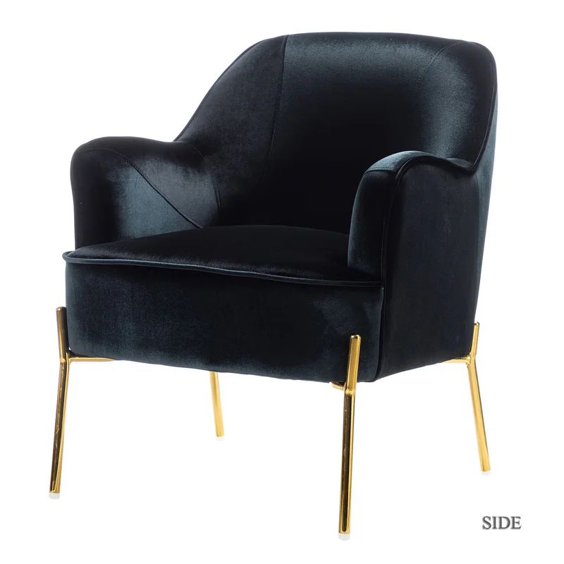 Cleo 26'' Wide Velvet Armchair | Wayfair North America