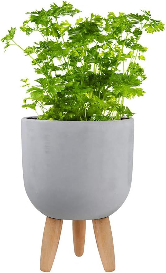 Worth Garden 9 inch Cement Planter Pot with Wooden Legs , Indoor Pots for Plants - Modern Flower ... | Amazon (US)