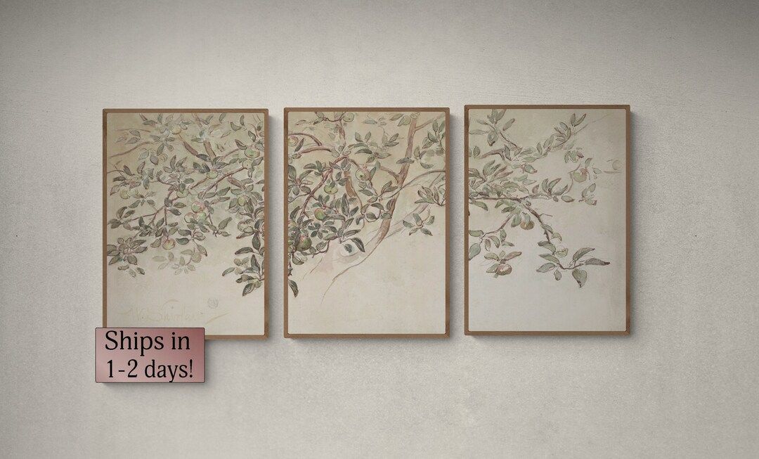 Vintage Apple Tree Branch Sketch Wall Prints Set of 3 Split - Etsy | Etsy (US)