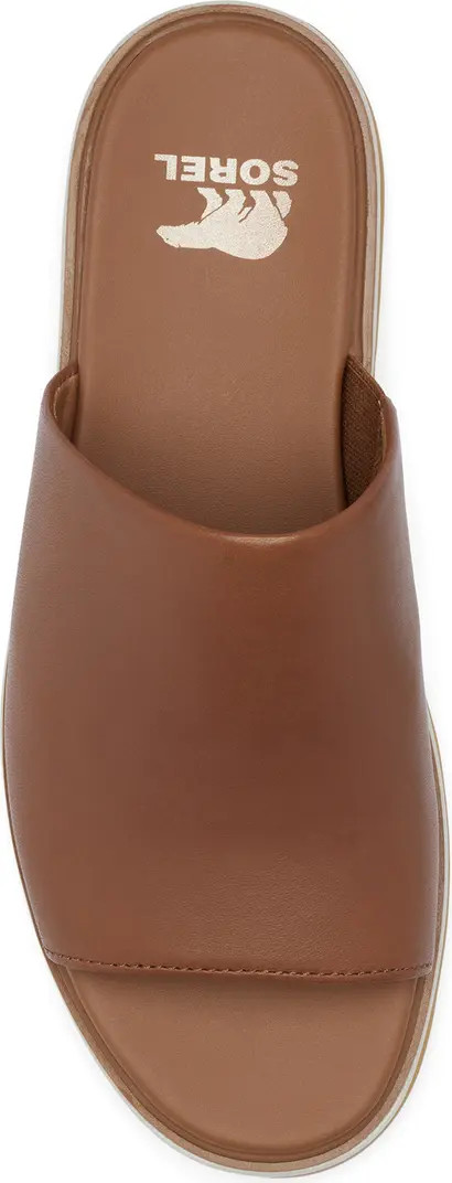 SOREL Dayspring Platform Slide Sandal (Women) | Nordstromrack | Nordstrom Rack