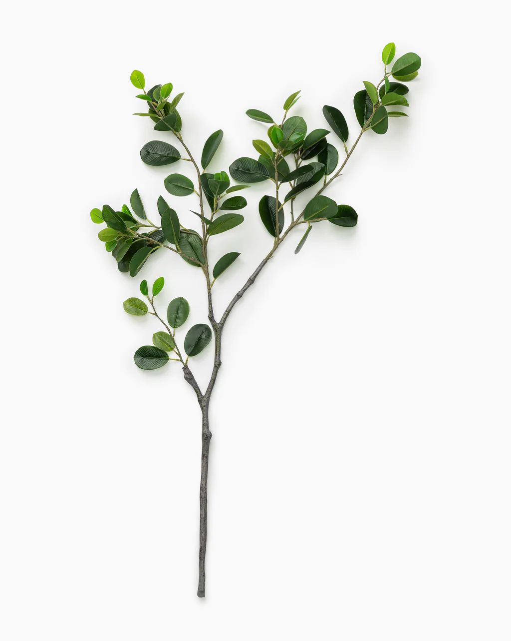 Faux Italian Ficus Branch | McGee & Co.