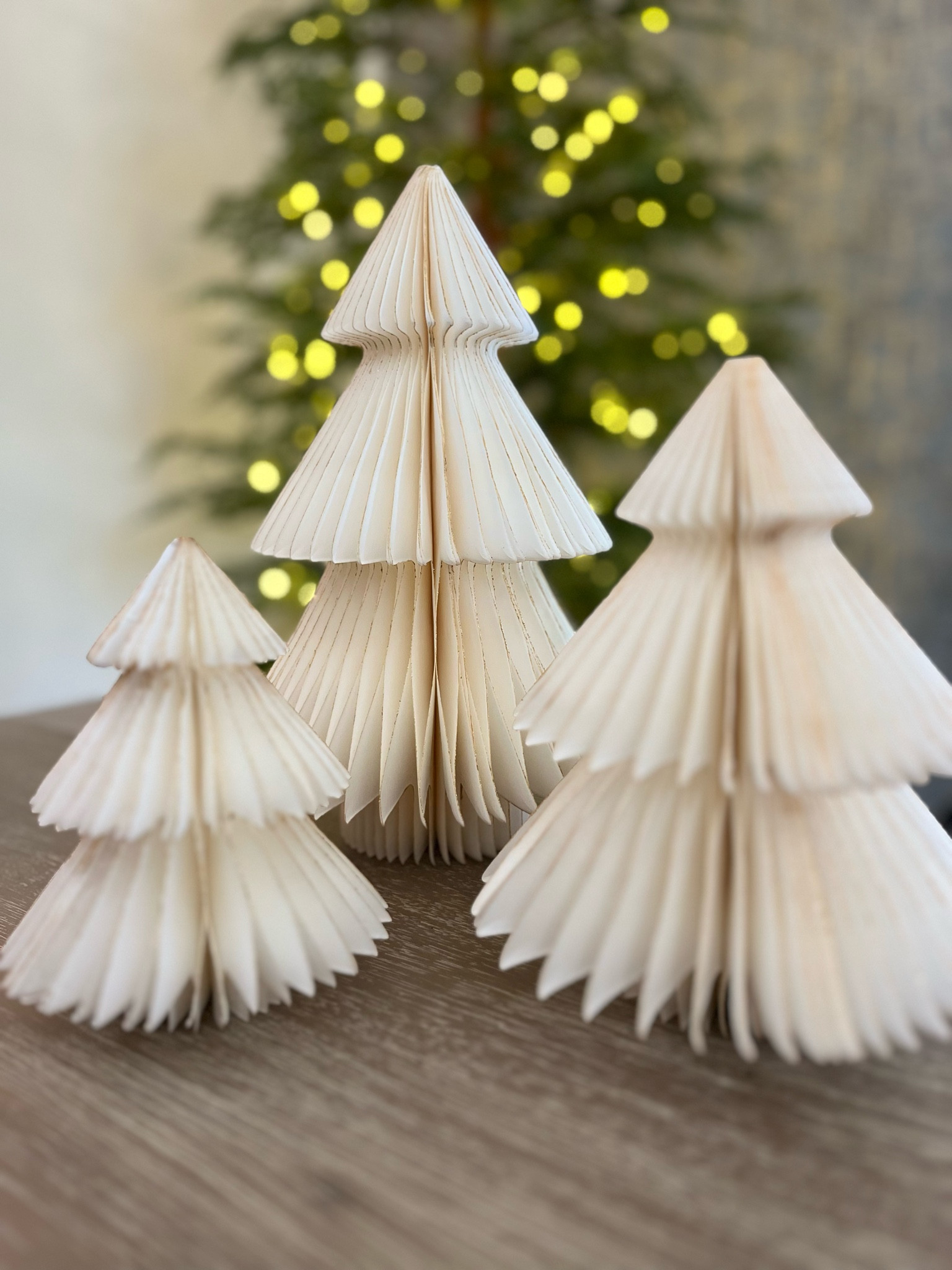 These little paper trees are so pretty with shimmering edge and magnetic closure making them easy to store and use next season! I’m going back for more! Under $9 for the set! 

#LTKHome #LTKSeasonal #LTKFindsUnder50