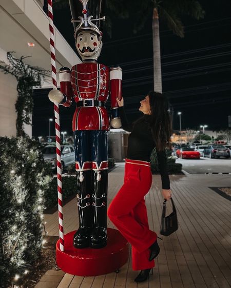 Christmas outfit or Party outfit idea! Red Pants ❤️ 🎄✨

#LTKparties #LTKHoliday #LTKSeasonal