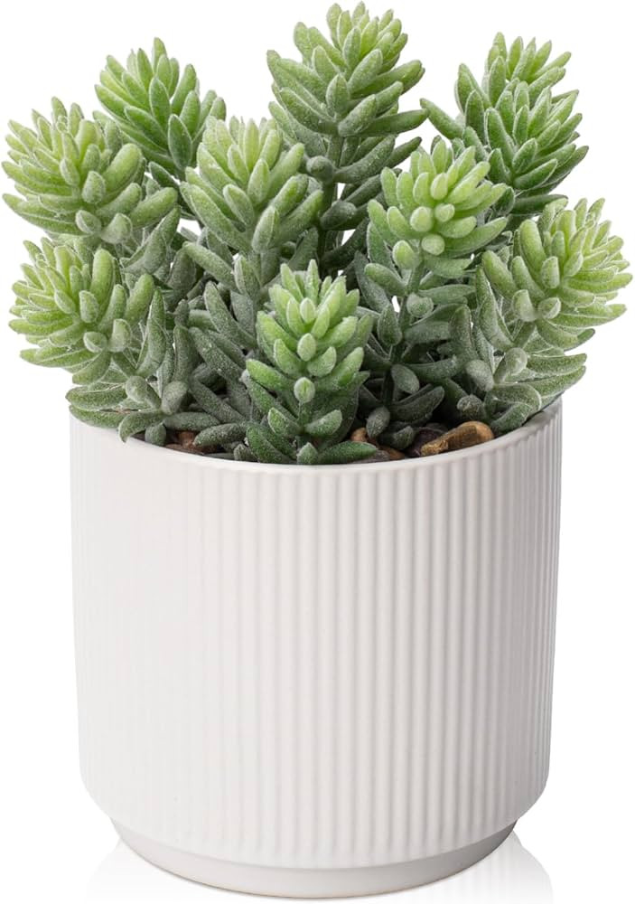 Briful Flocked Fake Plants Realistic Succulents Artificial Plant in Ceramic Pot, Faux Succulent f... | Amazon (US)
