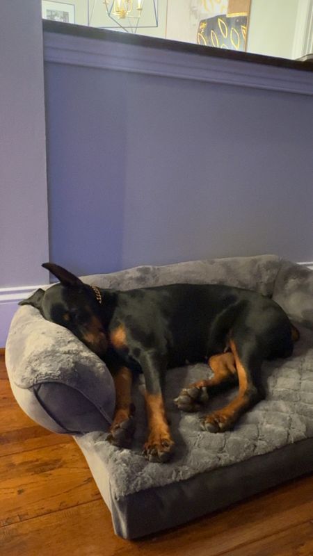 Super lush pet bed for under $100