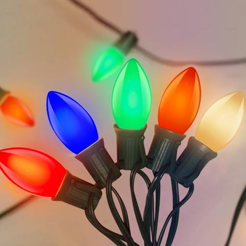 C9 LED Christmas Lights Outdoor 25Ft Outdoor Christmas Decorations String Lights Waterproof with 26 C9 LED Multicolor Bulbs, Hanging Vintage Christmas Lights for Patio Roofline Garden Holiday Party | Amazon (US)
