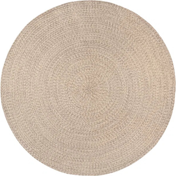 Owensby Braided Tan Indoor/Outdoor Rug | Wayfair North America