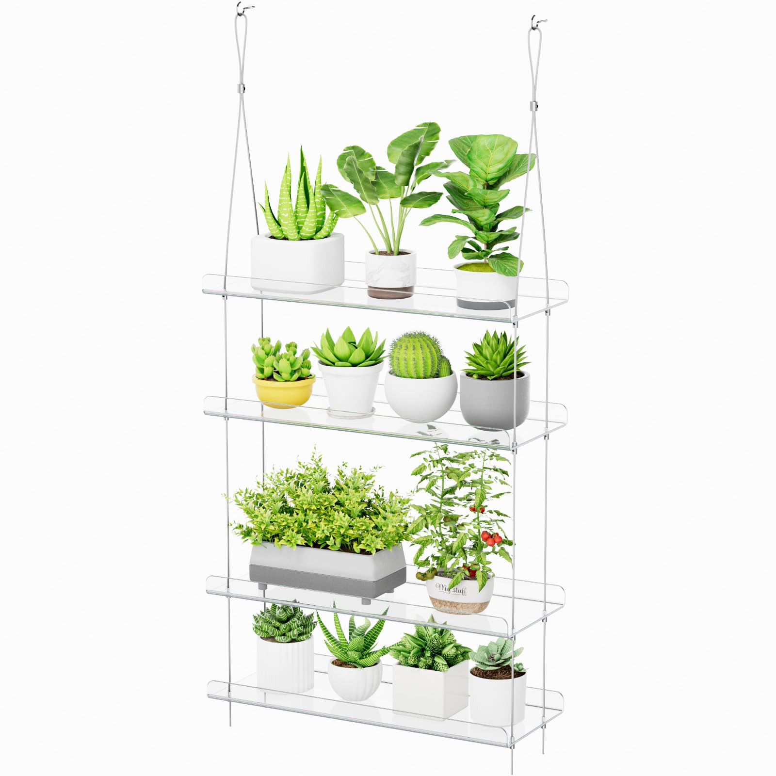 Lifewit 4-Tier Window Plant Shelves 15 inch, Acrylic Adjustable Hanging Floating Shelf, Window Si... | Amazon (US)