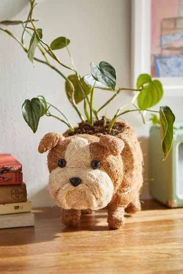 LIKHÂ Coco Coir Pup Planter | Urban Outfitters (US and RoW)