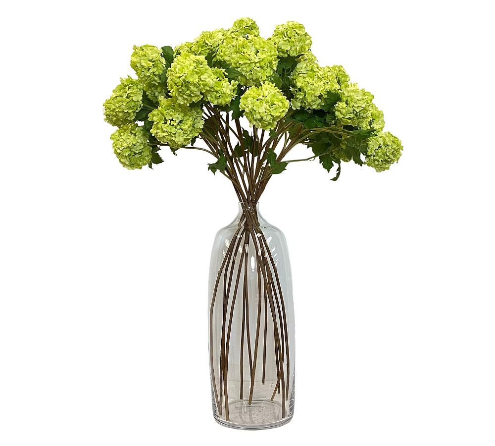 Faux Snowball Stems, Set Of 12, Green | Pottery Barn (US)
