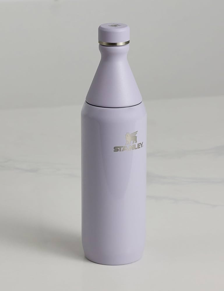 STANLEY All Day Slim Bottle, 20 oz, Purple Dust Gloss | Amazon (US)
