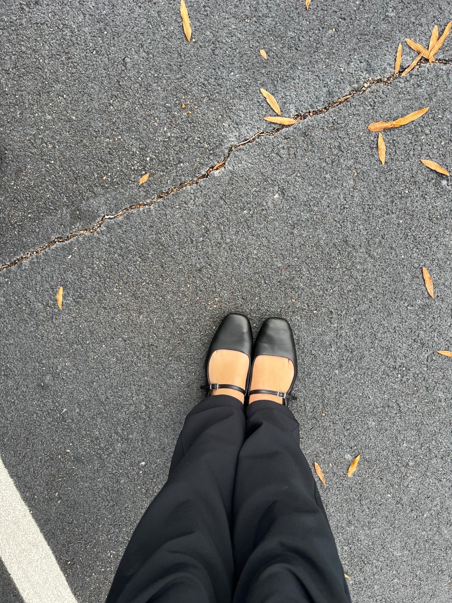 grab yourself a pair of ballet flats for fall and winter!! 🖤

#LTKShoeCrush