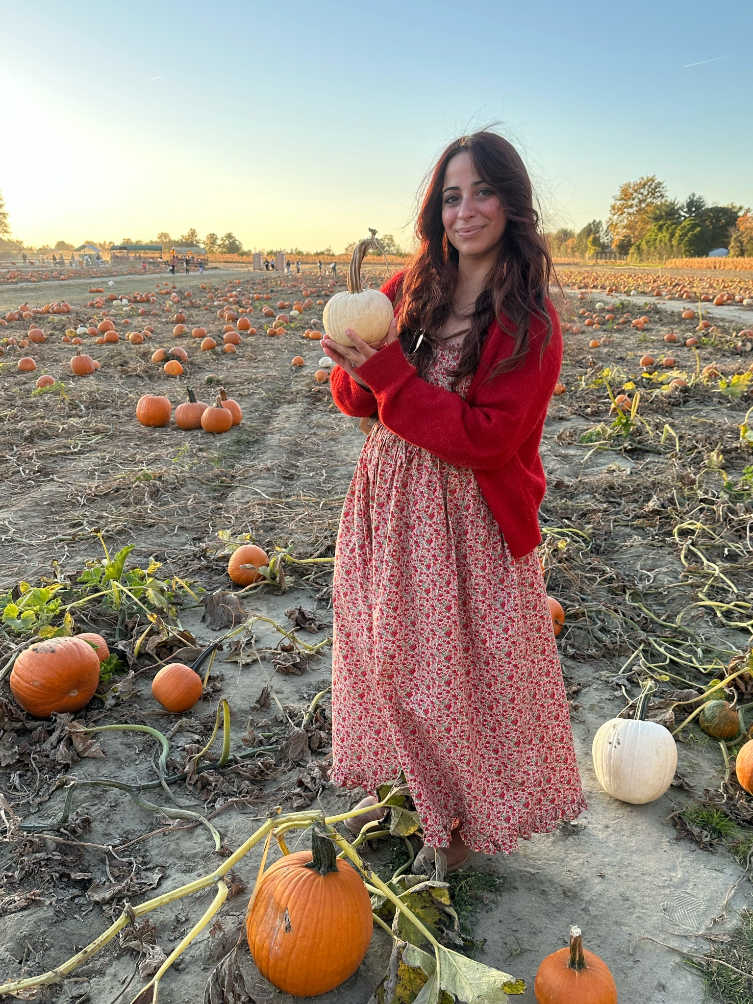 Fall/Thanksgiving Outfit 🍂 wearing Christy Dawn’s Adelia dress in Apple Harvest 🍎 

#LTKHoliday #LTKStyleTip #LTKSeasonal
