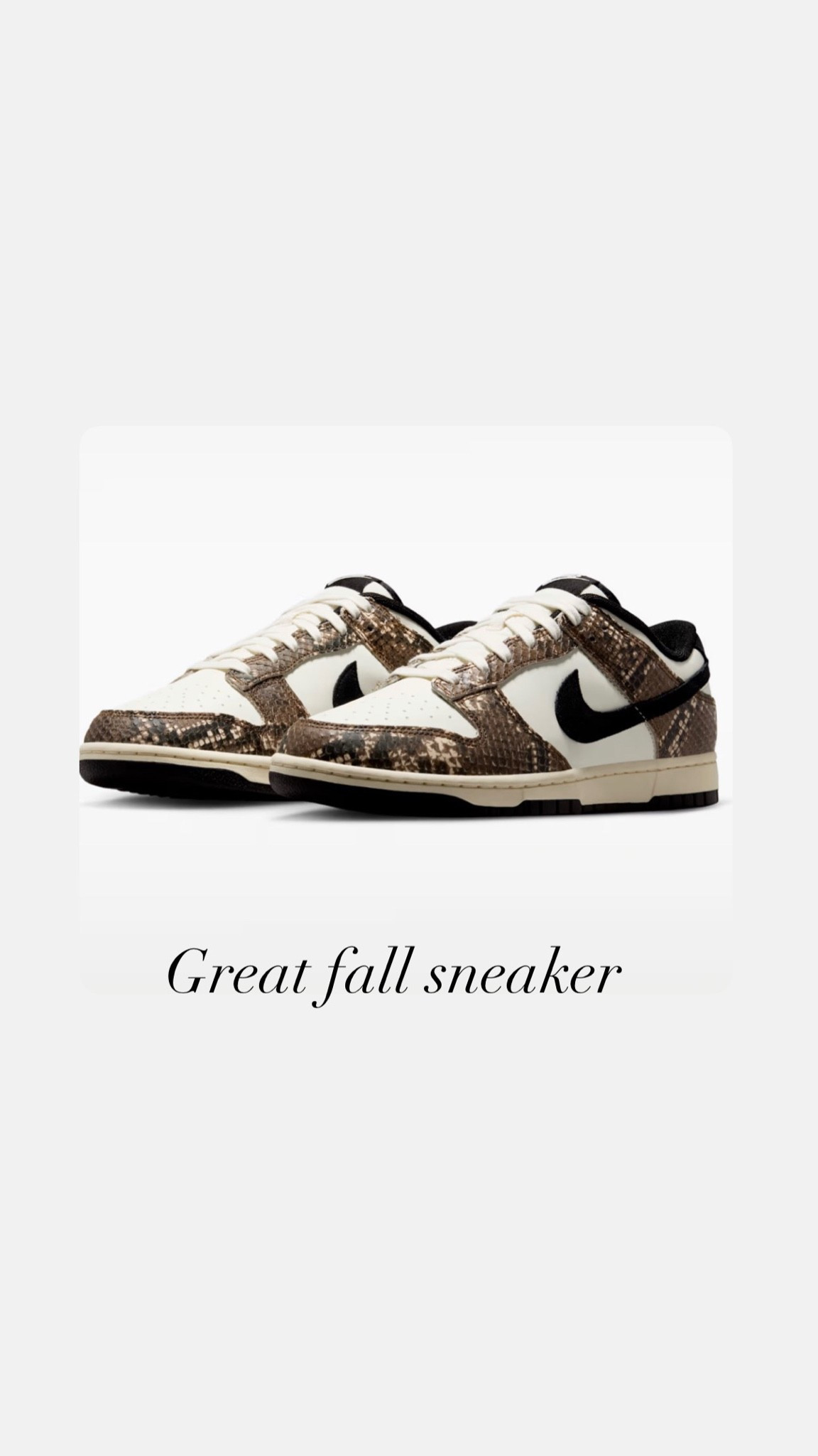 Awesome fall snakeskin sneaker from Nike — daily edit cover from Found by Em